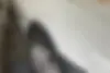 رنو،  پارس تندر