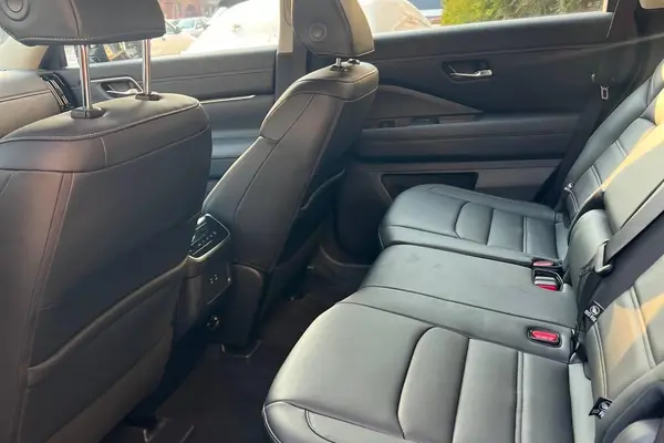 نیسان، پت فایندر