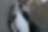 پژو  پارس