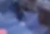 نیسان  پاترول دو در