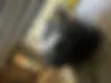 دنا،  پلاس EF7