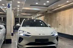 بی وای دی، سی لاین 06 DMi