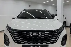 ام وی ام، X33 کراس