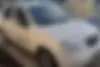 تیبا،  صندوق دار