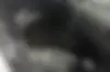 پراید  151