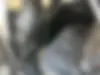 فونیکس  FX