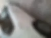 دنا، پلاس EF7