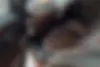 بنز  کلاس E