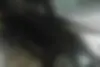 ام وی ام،  X55