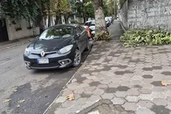 رنو، فلوئنس