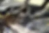 لاماری  اکو