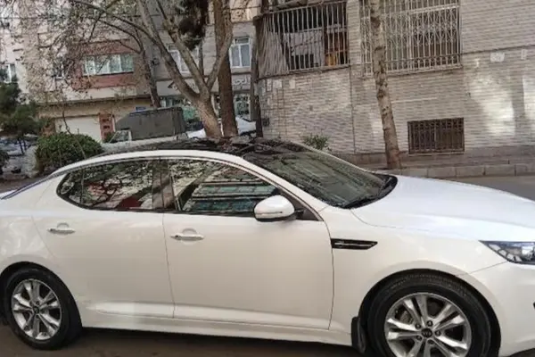 کیا، اپتیما