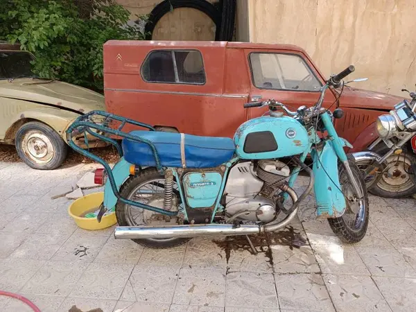 سیتروئن، ژیان