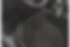 دنا،  پلاس EF7