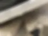 ساینا،  S