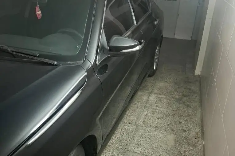 دنا،  پلاس EF7P