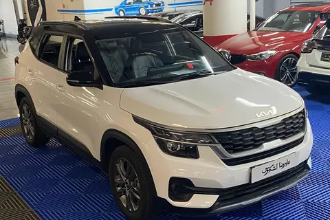 کیا، سلتوس