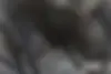 دنا،  پلاس EF7