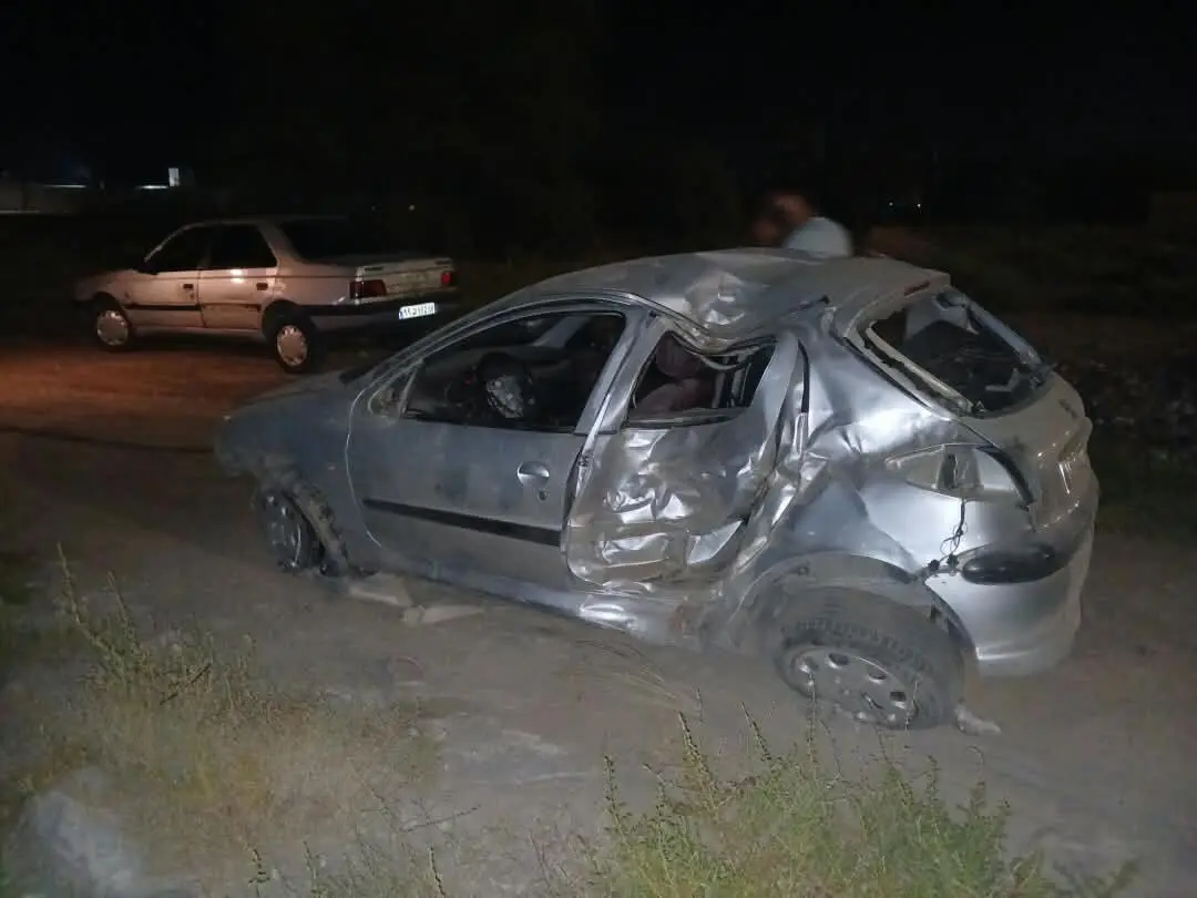 پژو،  206
