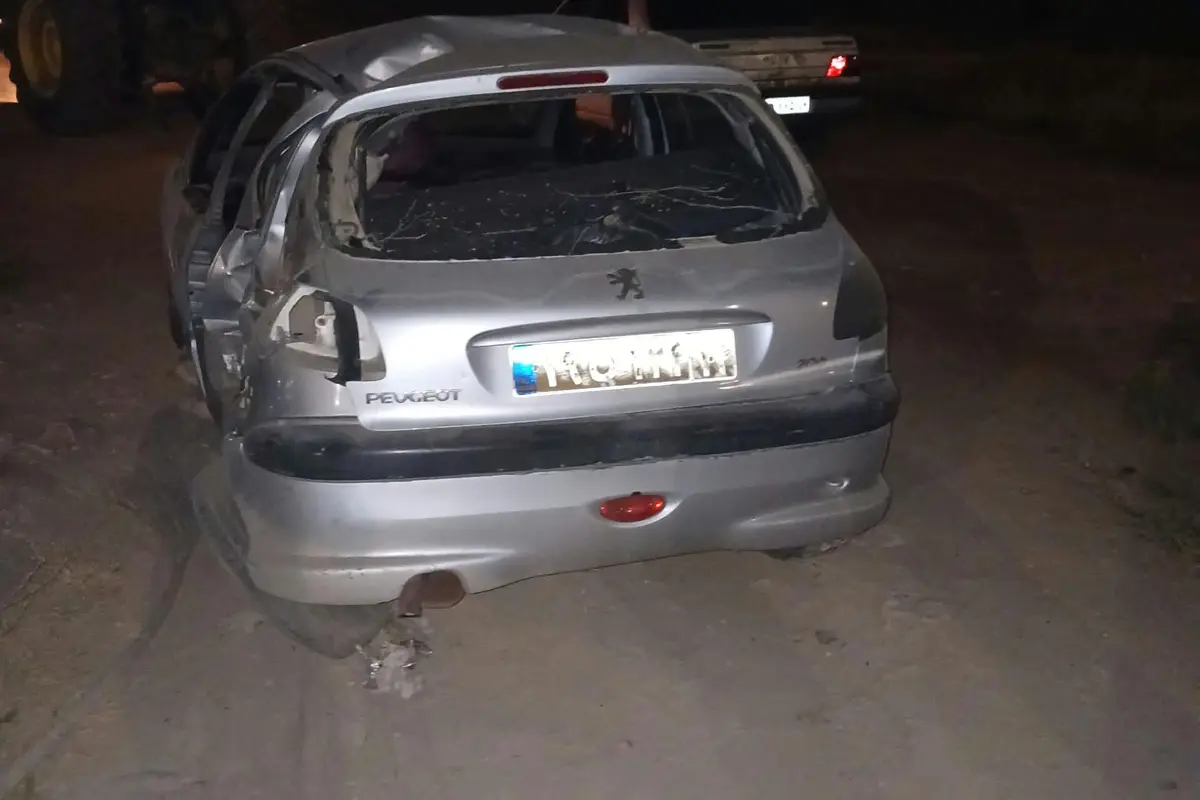 پژو،  206