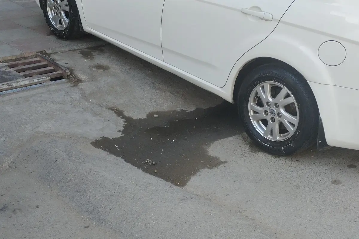 بسترن،  B50