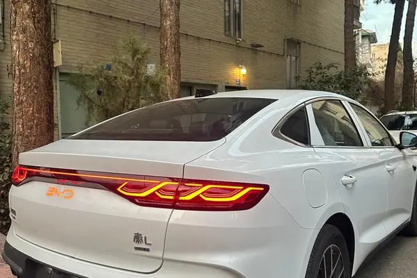 بی وای دی، چین ال DMi