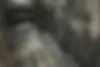 رنو  کولیوس