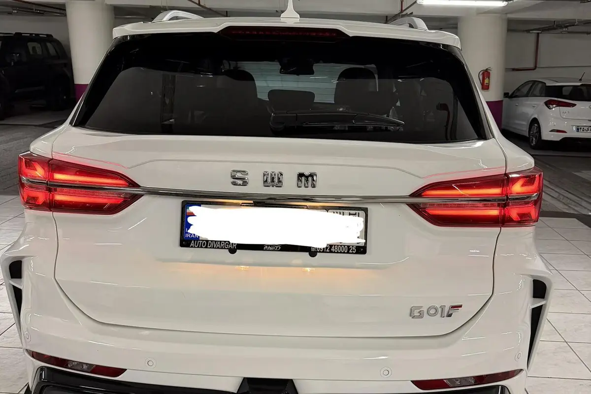 اس دبلیو ام،  G01F