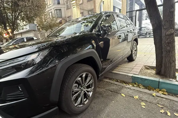 تویوتا، راوفور