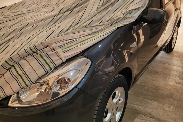 رنو، ساندرو