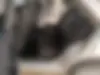 پژو،  پارس