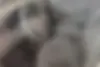کیا،  ریو (مونتاژ)