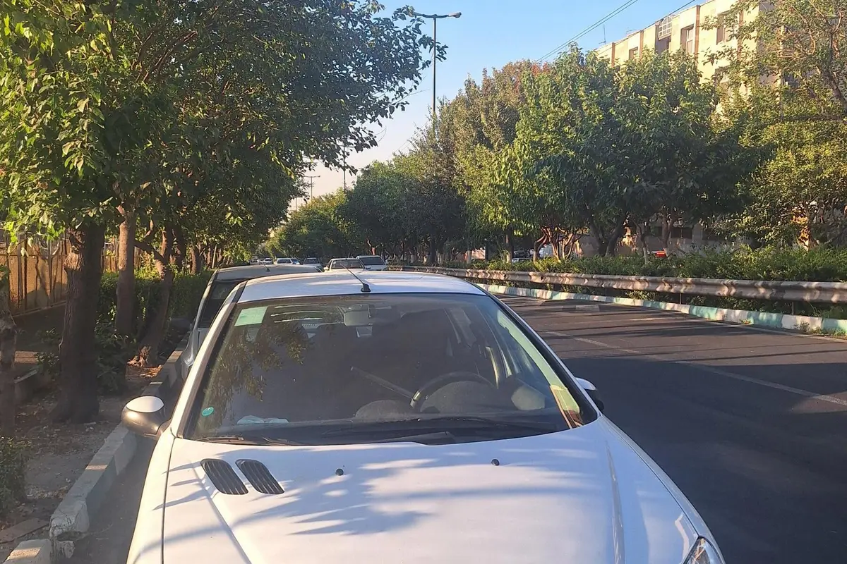 پژو،  206