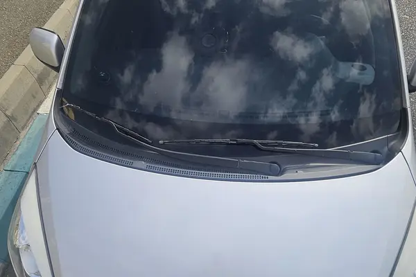 کیا، پیکانتو