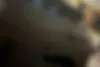 فونیکس،  FX