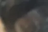 کیا  اپتیما