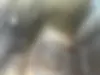 رنو  کپچر