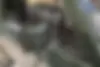 نیسان  پاترول دو در