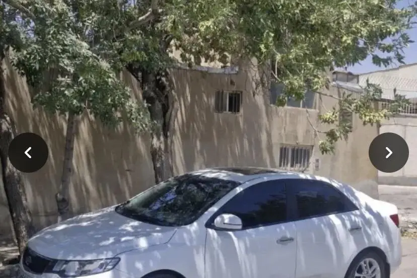 کیا  سراتو (مونتاژ)