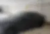 مزدا  3 وارداتی