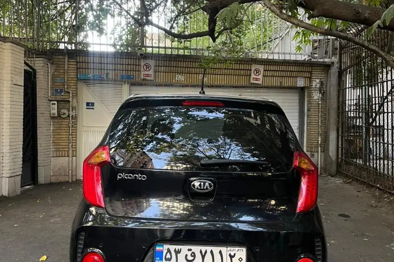 کیا،  پیکانتو