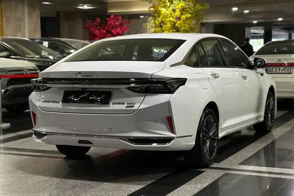 دانگ فنگ، شاین مکس