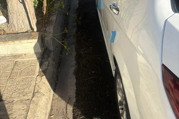 دنا، پلاس EF7