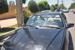 پژو، پارس