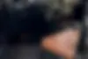 لکسوس،  LX