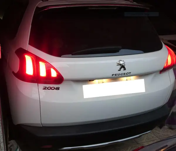 پژو، 2008
