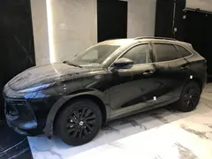 لاماری، ایما