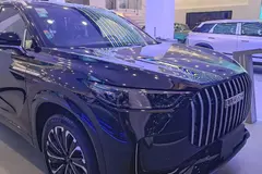لوکانو، L8