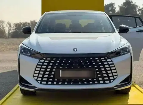 لاماری، اکو