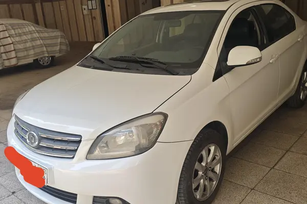 گریت وال  C30